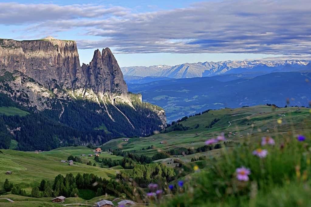 Paradiso Pure Living Vegetarian-Vegan Hotel Alpe Di Siusi Bagian luar foto